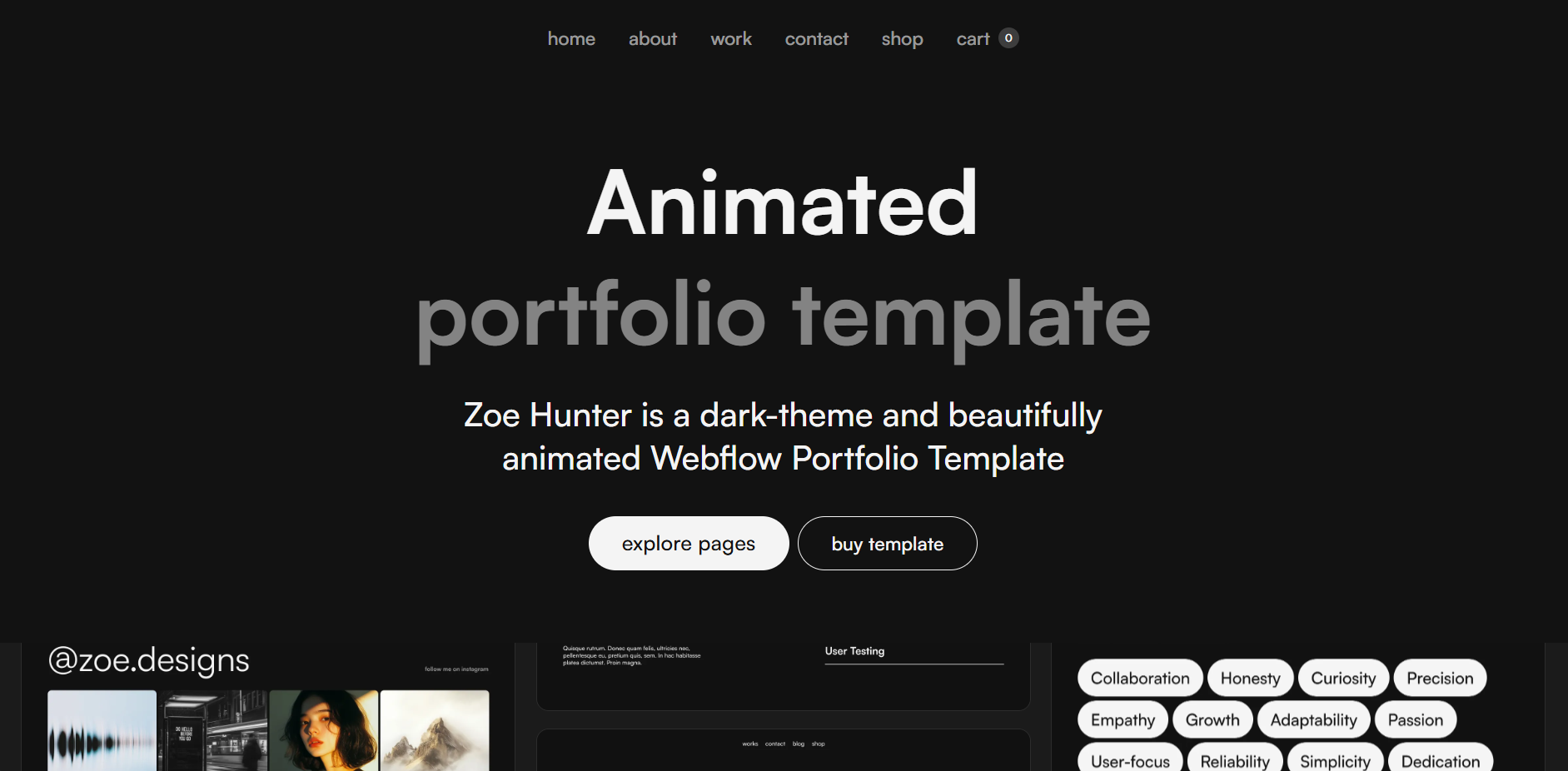 Image of Project